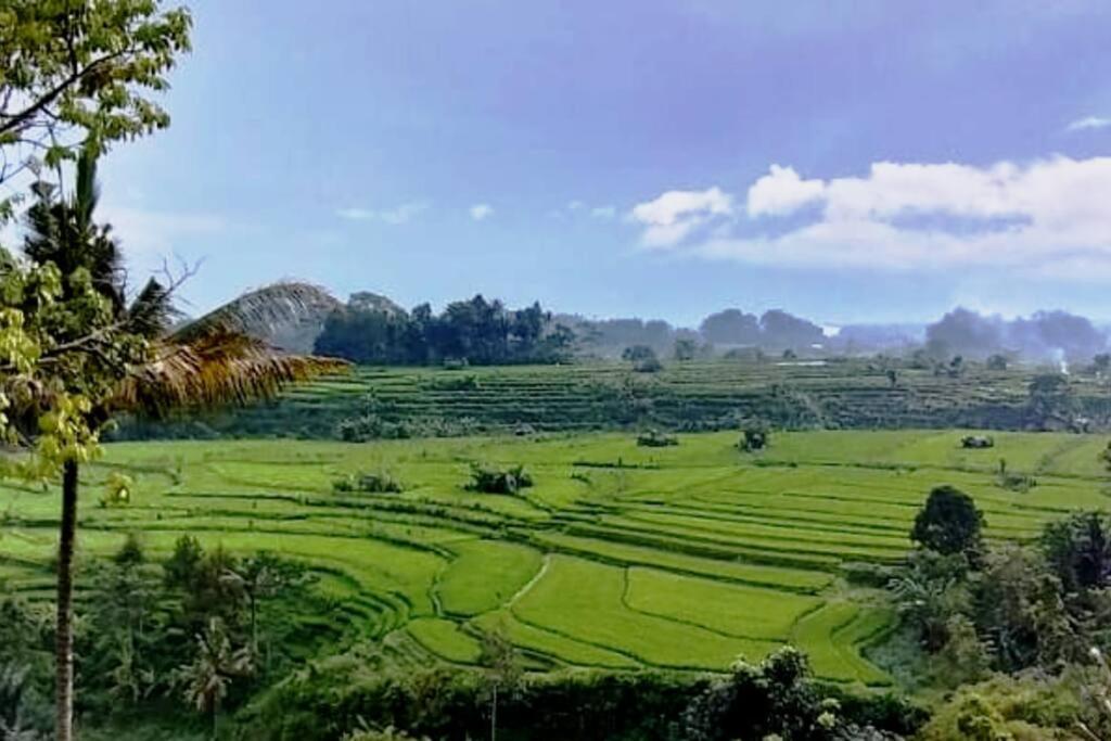 Magic Hills Bali - Magical Eco-Luxury Lodge Selat Ngoại thất bức ảnh